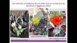 "Role of Kulob Botanic Garden in Conservation of Biodiversity in Tajikistan" by Jovidon Tillozod