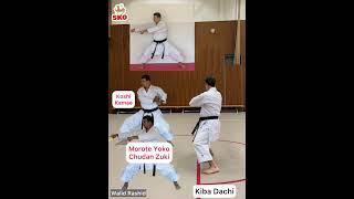 Kanku sho Kata shotokan karate WR SKO