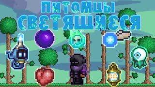 [Terraria Гайд] СВЕТЯЩИЕСЯ ПИТОМЦЫ (Light Pets)