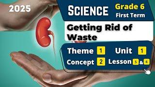 Getting Rid of Waste | Grade 6 | Unit 1 - Concept 2 - Lesson 5&6 | Science