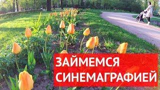 Синемаграфия. Как сделать синемаграфию. Урок.