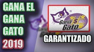 GANA el GANA GATO (Explicación completa y Como Jugar) 2019