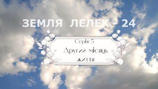 Земля лелек - 24