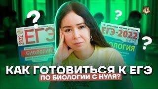 Как готовиться к ЕГЭ по биологии с нуля? | Биология ЕГЭ 2022 | Умскул