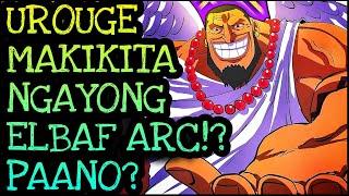 UROUGE MAGPAPAKITA NGAYONG ELBAF ARC!? | One Piece Tagalog Analysis