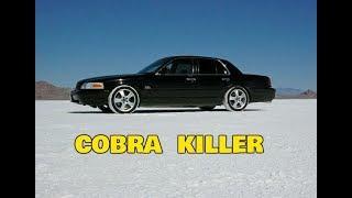 2 Valve COBRA KILLER!...The Kenny Brown P2 Panther Crown Victoria