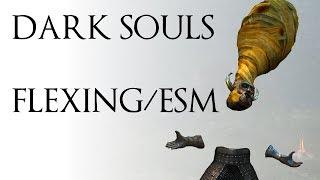 [DS1] Flexing/ESM Tutorial