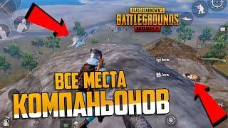 ВСЕ СЕКРЕТНЫЕ МЕСТА ГДЕ МОЖНО НАЙТИ КОМПАНЬОНА В PUBG MOBILE | НОВАЯ ОБНОВА 0.12.5 ПУБГ МОБАЙЛ