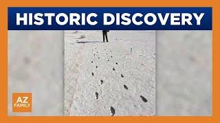 UofA professor helps with history discovery on early humans