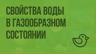 Свойства воды в газообразном состоянии. Видеоурок по окружающему миру 3  класс