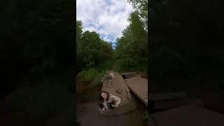 What is this young witch doing in the forest? #forest #summer #girl #husky #dog #river #insta360