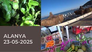 ALANYA ROMKA ROKER ВЛОГ БЛОГ ВЛОГОБЛОГ ЯНЕБЛОГЕРА 23 МАЯ 2025 ТУРЦИЯ АЛАНЬЯ TR