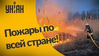 Новости Украины: по стране вспыхивают масштабные пожары