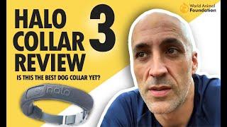 Halo Collar 3 Review: Should You Buy This GPS Dog Collar?