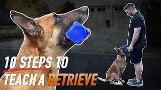 Get the Perfect Retrieve Every Time: 10 Expert Tips for Training Your Dog