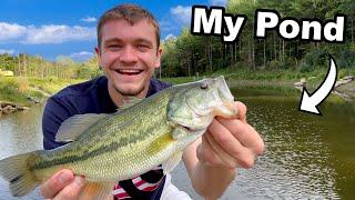 Catching Largemouth Bass to Stock My Pond!