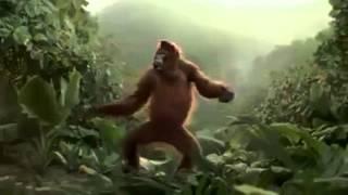 I Like To Move It - Monkey Dance