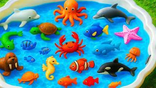 Kids Learn | Learn Mysterious Ocean Animals Name with Toys | Deep sea Animals Name | Preschool Kids