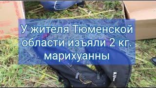 Сотрудники Госавтоинспекции в селе Исетское задержали местного жителя с марихуаной