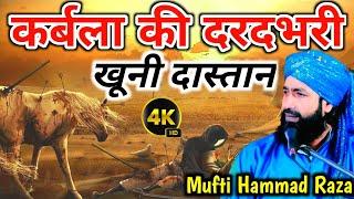 कर्बला की दर्द भरी खूनी दास्तान by/Mufti Hammad Raza #takreer  #2024 #karbla #husain #moharram