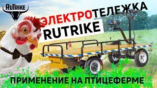 Тележки для птицефермы. Rutrike - электротранспорт. Применение.