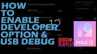 How to Enable Developer and USB Debug in MIUI 12