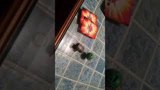 How to play Bakugan 2019