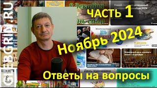 Ответы на вопросы. Ноябрь 2024. Часть 1