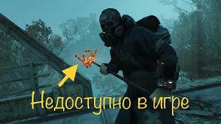 Fallout 76 ТОП 5 РЕДКИХ ПРЕДМЕТОВ #3