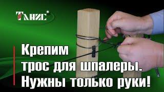 07. Закрепляем трос для шпалеры марки ПРШ на якорные столбы. Только руки, без всяких приспособлений!