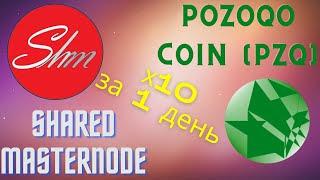 Монета POZOQO как увеличить в 10 раз за день. Сервис Shared Masternode