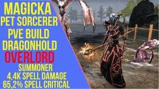 Magicka Pet Sorcerer PVE Build - Overlord - Dragonhold