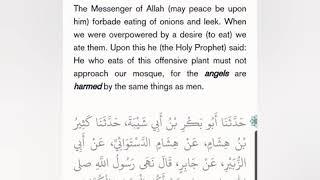 This hadith totally destroys Islam..click to find out why..it's so devastating to their claims..