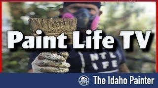 What is Paint Life TV