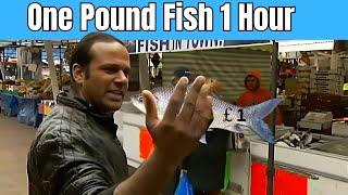 One Pound Fish 1 hour