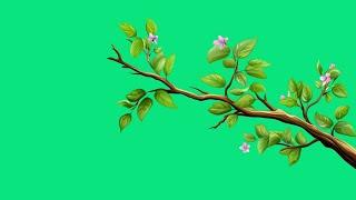 Tree branch with leaves green screen video editing | green screen video