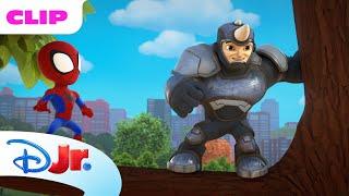Spidey and Team Help an Elephant Family!  | Marvel's Spidey and his Amazing Friends | @disneyjr​