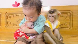 Baby Nguyen shares yogurt with baby monkeys Poki and monkey Pupu