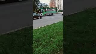 Паз вектор некст @V_depo @EkaterinburgTransport_city