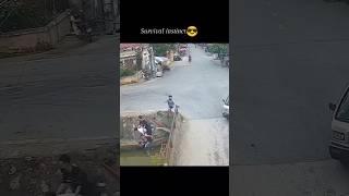 Funny Camera footage, survival instinct, #funnyshorts #footage #youtubeshorts #dangerousdriving