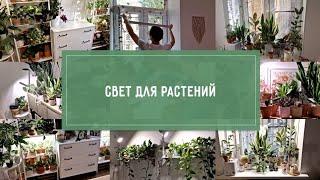 СВЕТ для РАСТЕНИЙ