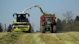 NEW Claas Jaguar 950 I eta SHERRER MATHOT I Gaec BITARD