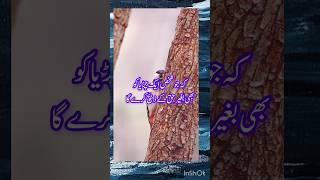 bagher haqq k chirya ko zbah Karna | Khana lazim hy | #shortsvideo  #hadees #shorts  #short #islamic