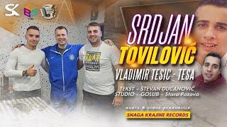 Srdjan Tovilović - Vladimir Tešić (TEŠA) -  (Official Audio 2023)