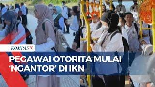 Begini Penampakan Ibu Kota Nusantara dan Pegawai ASN Otorita yang Mulai Berkantor di IKN