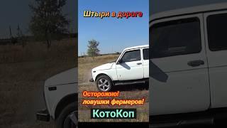 Осторожно !Ловушки! #коп #деньги #заработок