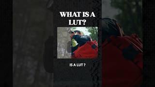 What Is A LUT?