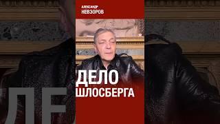 Невзоров об обыске и уголовном деле на Шлосберга #невзоров