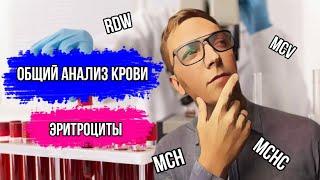 Общий анализ крови.Эритроциты(MCV,MCH ,RDW)