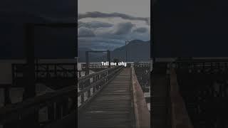 Backstreet Boys - I Want It That Way lyrics #shortslyrics #lyrics #shorts #backstreetboys